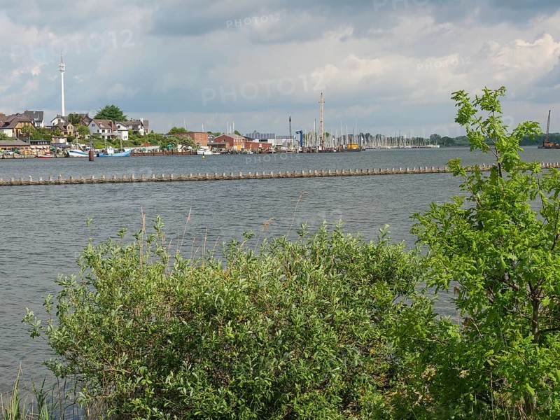 Riverbank with trees and view of the harbour with boats and buildings in the background, Kappeln, Schleswig-Holstein, Germany, Europe