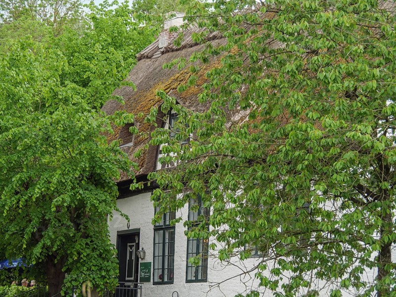 Traditional house with thatched roof, surrounded by lush greenery, windows and window grilles, Arnis, Schleswig-Holstein, Germany, Europe