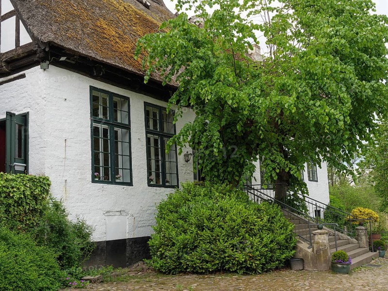 A large half-timbered house surrounded by plants and trees, with a rustic charm, Kappeln, Schleswig-Holstein, Germany, Europe