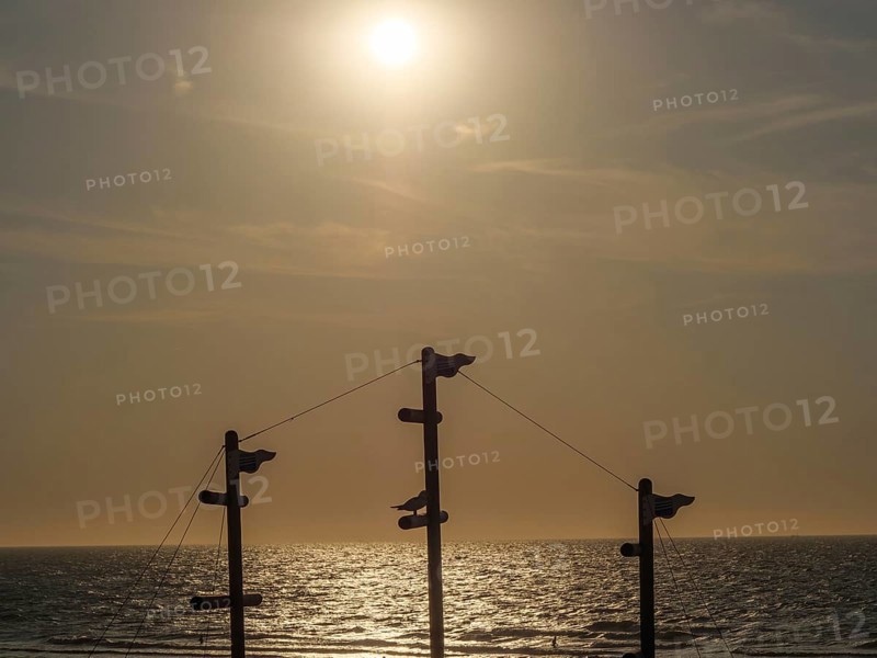Sunset over the sea with silhouettes of masts and a warm orange sky, de haan, belgium