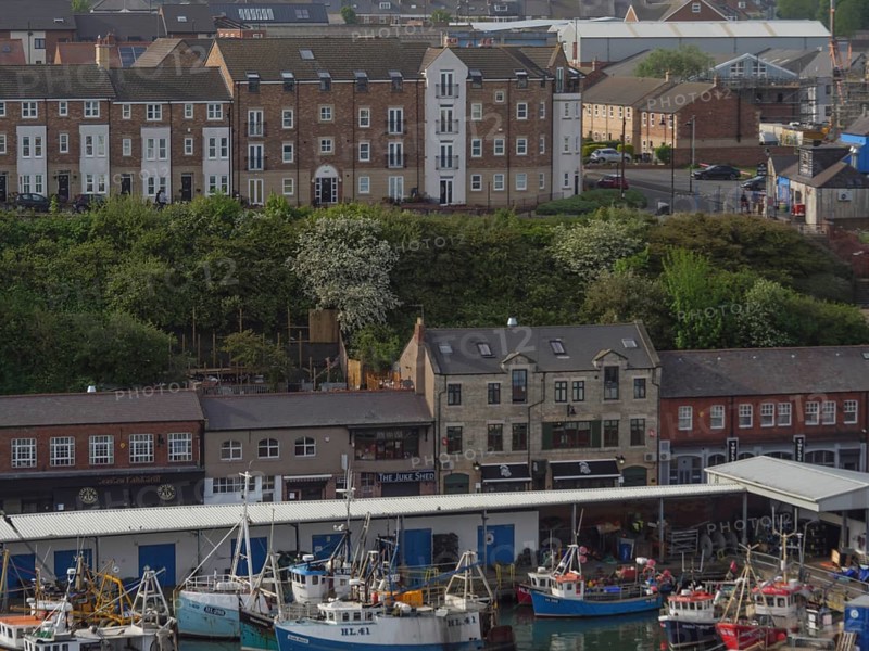 A view of a harbour area with fishing boats and town buildings in the background, Newcastle, England, Great Britain