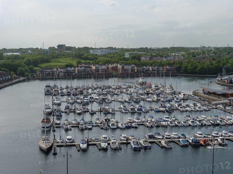 Marina with many boats and neighbouring houses in the background under a cloudy sky, tynemouth, England, Great Britain