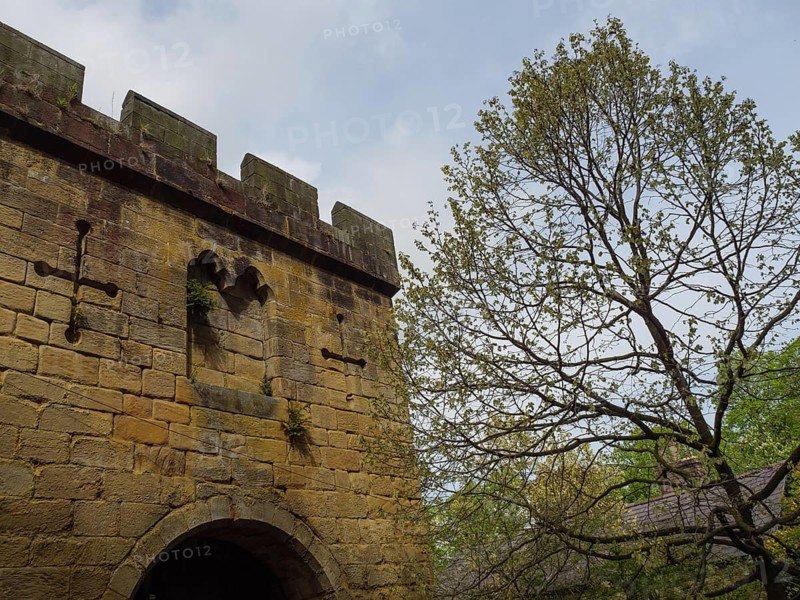 An old castle wall with towers and a tree in the foreground, Newcastle, England, Great Britain