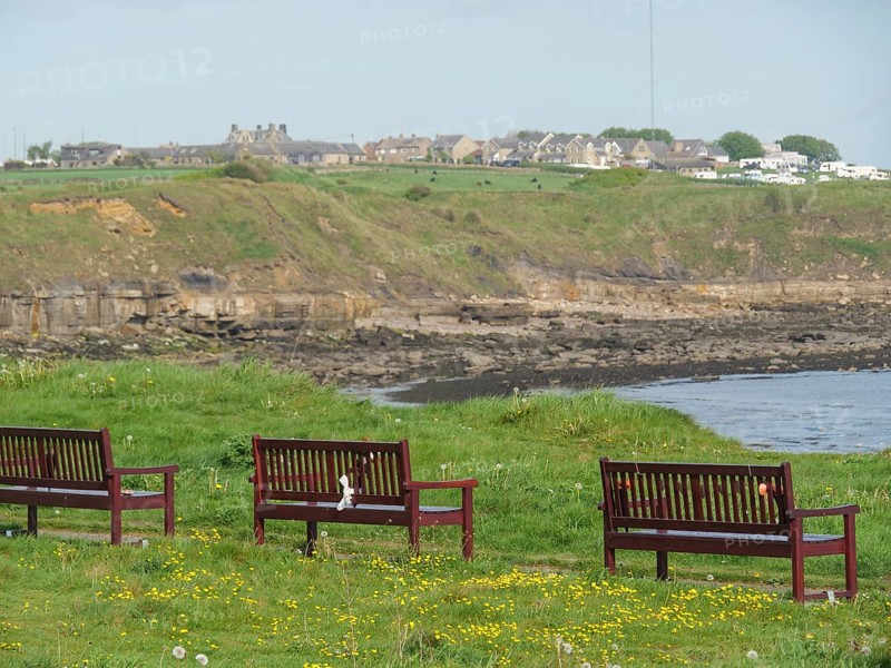 Park benches with views of the coast, green hills and distant houses, Newcastle, England, United Kingdom, Europe