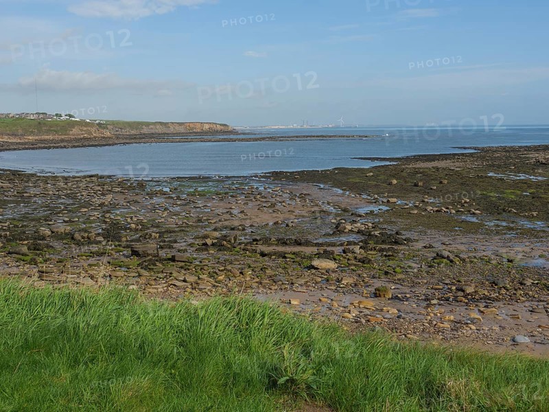 Coastal landscape at low tide with visible stones and green meadows, Newcastle, England, Great Britain