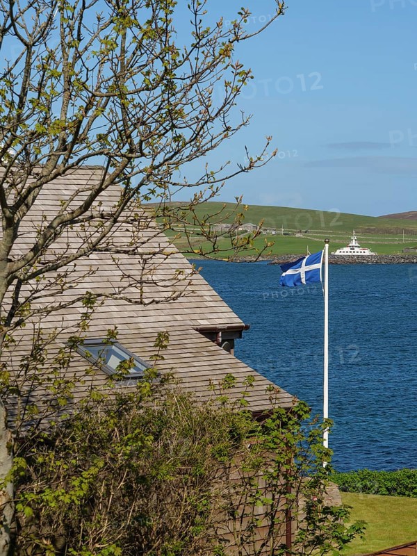 View of a coastal landscape with a house roof, a tree and a Scottish flag, Lerwick, Shetlands, Scotland, United Kingdom, Europe