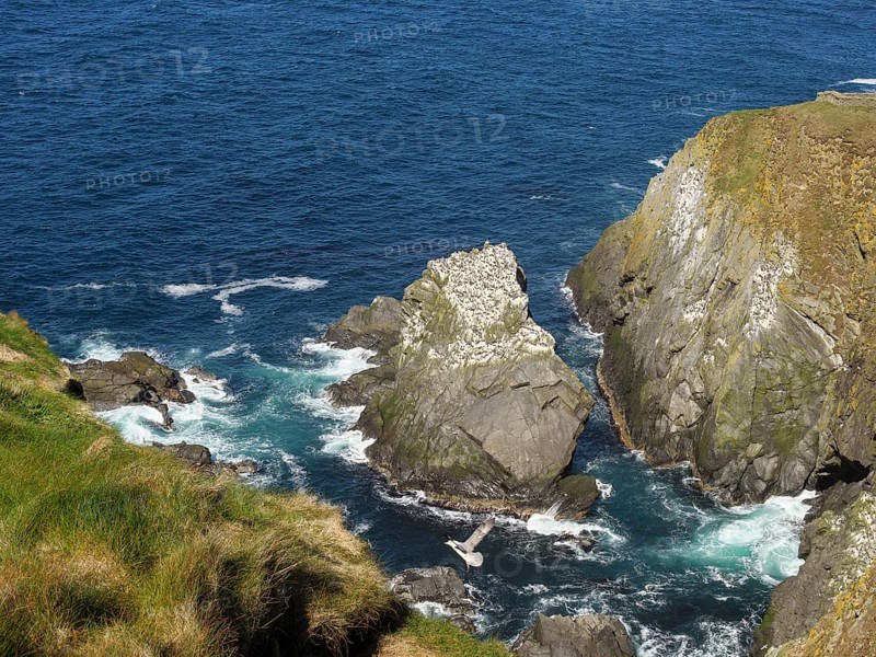 Rugged cliffs surrounded by deep blue water and waves on a steep coastline, Lerwick, Shetland, Scotland, United Kingdom, Europe