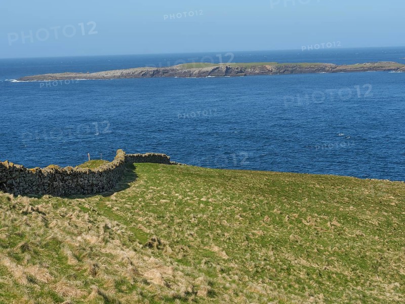 Green meadow with stone wall on the shore that merges into the wide blue sea and visible islands, Lerwick, Shetlands, Scotland, United Kingdom, Europe