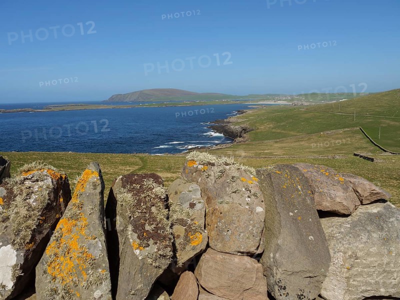 Lichen-covered stone wall along the coast with views of hills and the sea under a blue sky, Lerwick, Shetland, Scotland, United Kingdom, Europe
