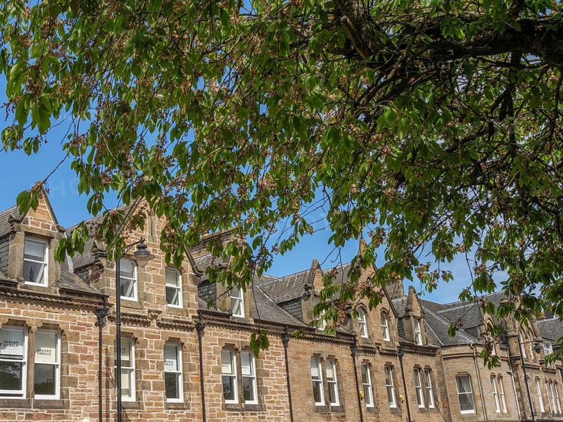 Row of historic stone buildings behind a large green tree with overhanging leaves, inverness, Scotland, United Kingdom, Europe