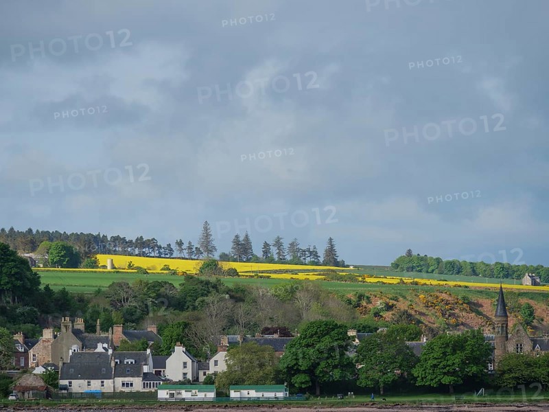 A small village with houses surrounded by green fields and yellow flowers, in the background a church tower and a cloudy sky, inverness, Scotland, Great Britain