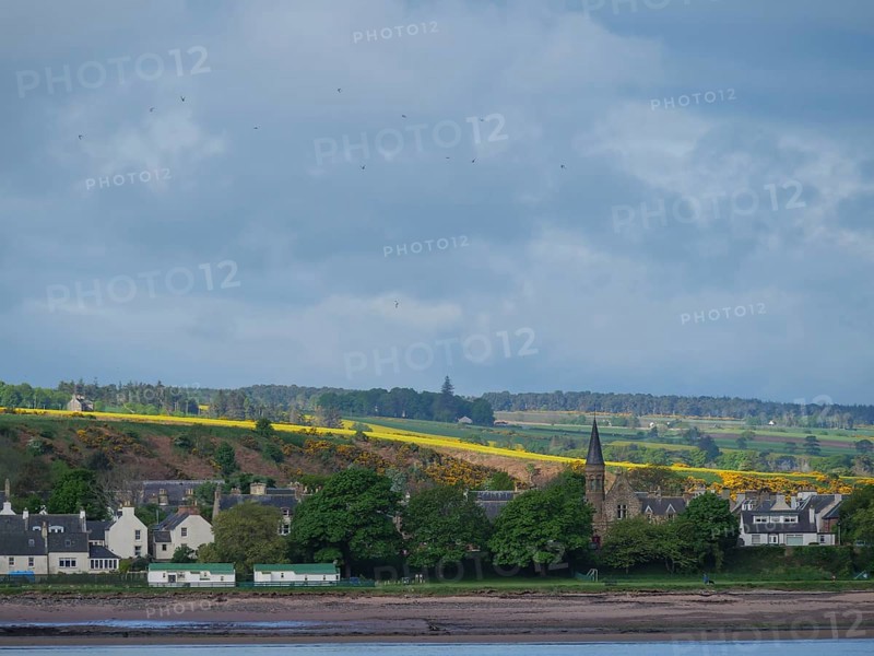 A quiet village by the sea with houses and trees, a church and a cloudy sky in the distance, inverness, Scotland, United Kingdom, Europe