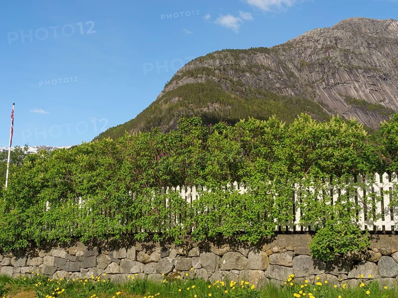 A stone wall with a white fence and green surroundings in front of a mountain under a clear sky, Eidfjord NOR 3