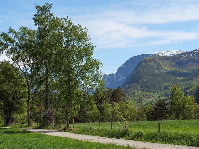 A picturesque path leads through a green meadow, flanked by tall trees and mountains in the background, Eidfjörd, Norway, Europe