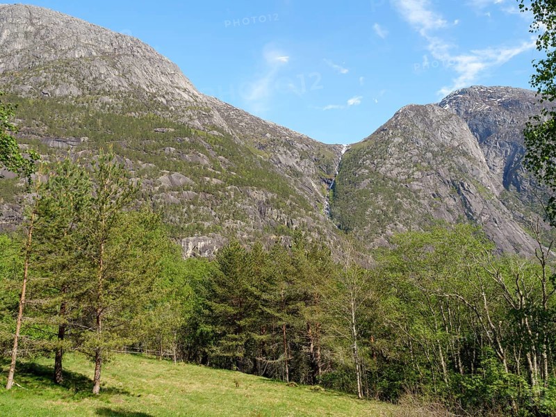 A mountainous landscape with dense forests and clear blue sky in the background, Eidfjörd, Norway, Europe
