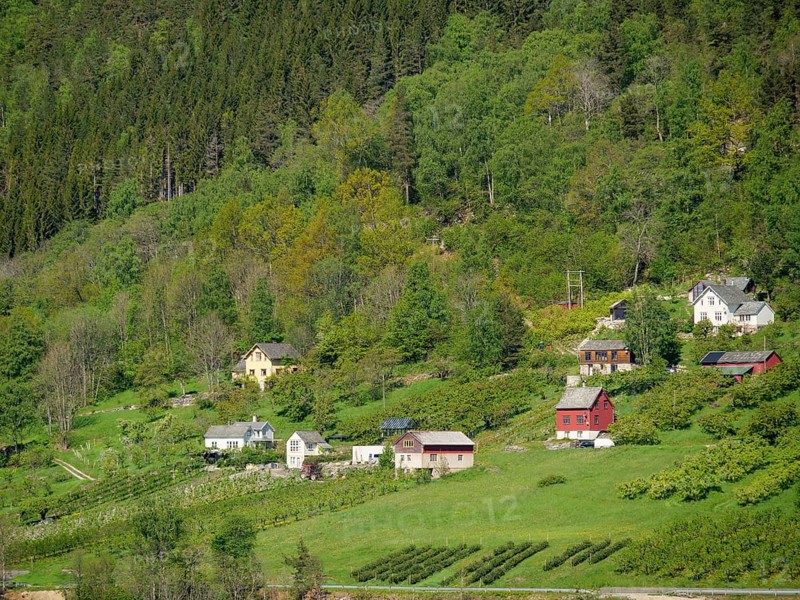 Idyllic village with various houses surrounded by green trees and hills, eidfjord, norway