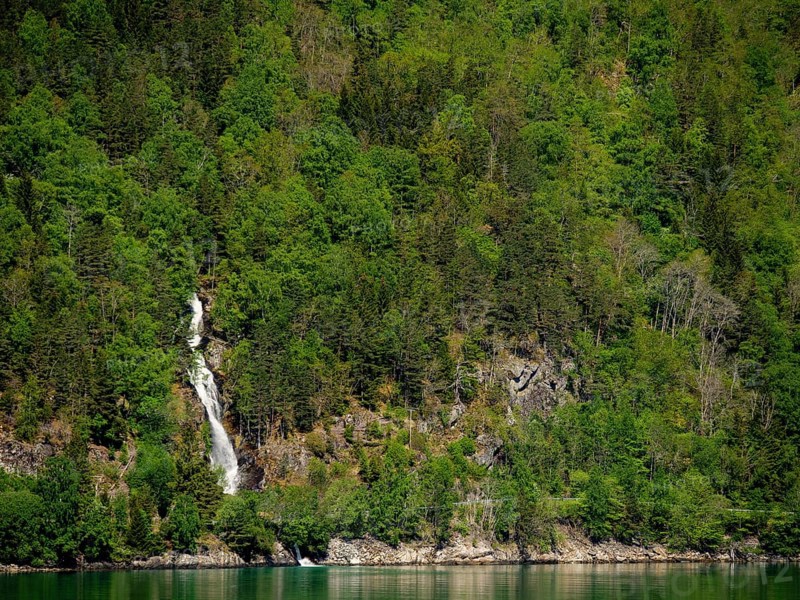 Small waterfall in a dense, green forest area with rocky elements, eidfjord, norway
