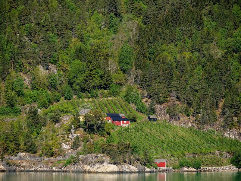 Eidfjord, Norway, Europe