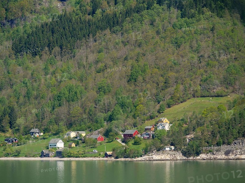 View of country houses at the edge of a forest, reflected in the still water of a lake, Eidfjord, Norway, Europe