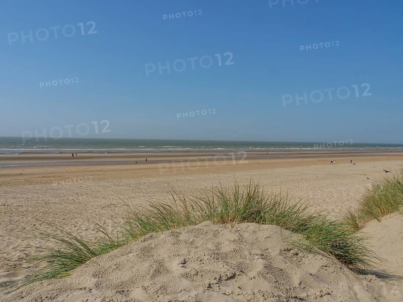 Extensive beach with dunes in the foreground, sea in the background and clear blue sky, de haan, belgium