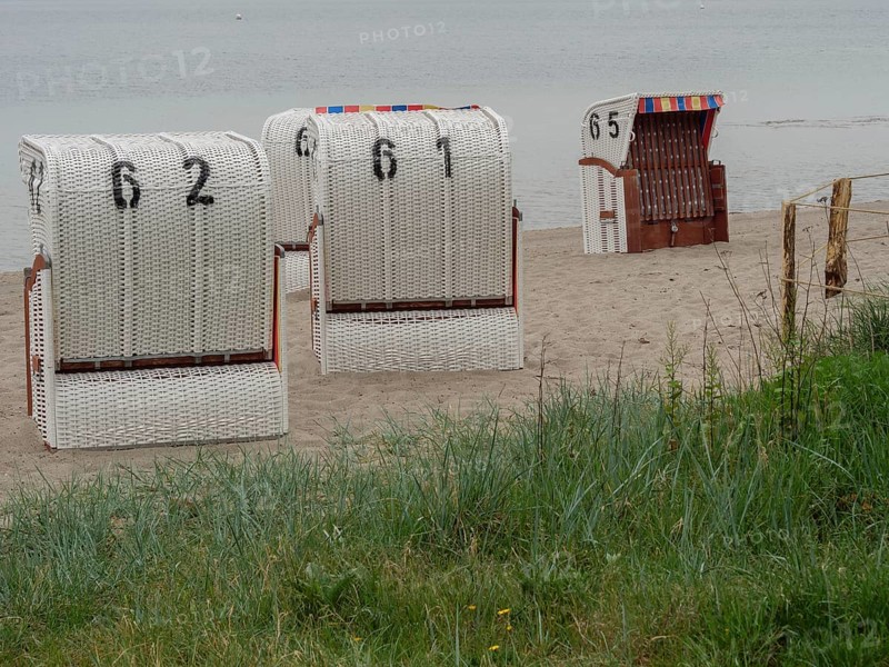 Several white beach chairs with numbers stand in front of a calm sea on a sandy beach, Eckernförde, SChleswig-Holstein, Germany, Europe