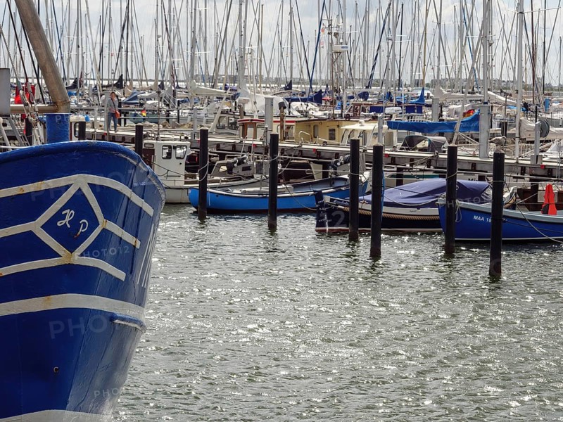 Boats in the harbour with many visible masts and water reflections, Maasholm, Schleswig-Holstein, Germany, Europe
