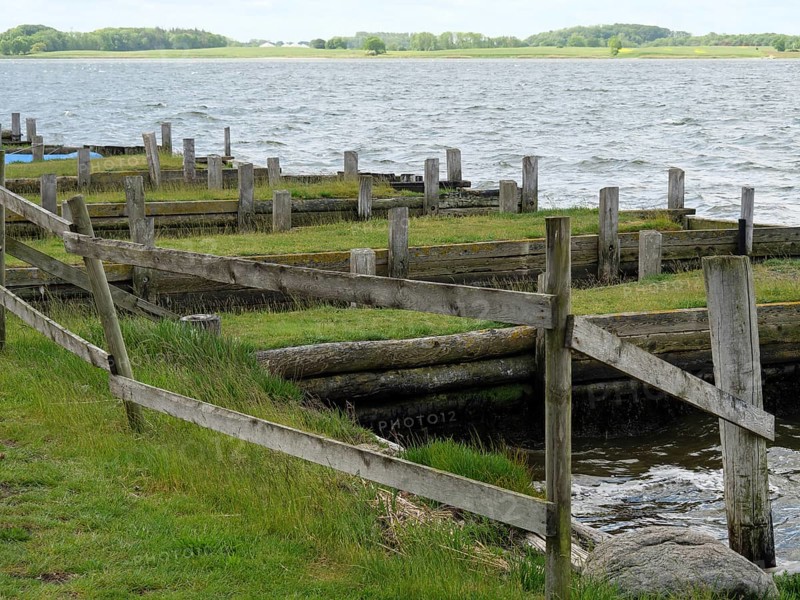Wooden fences and green areas in a quiet harbour area with water in the background, Maasholm, Schleswig-Holstein, Germany, Europe