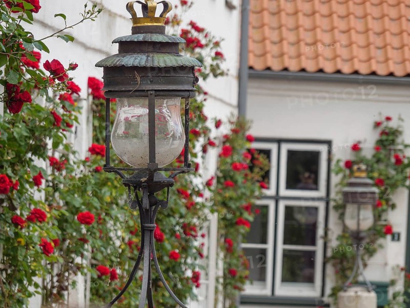 Nostalgic street lamp in front of a white house wall with red roses and windows in the background, Glücksburg, Schleswig-Holstein, Germany, Europe