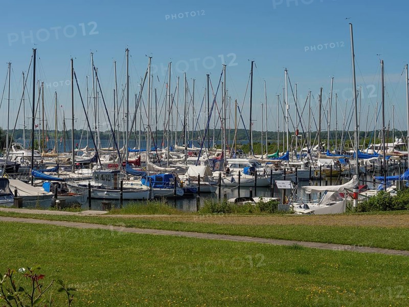 A fully occupied boat harbour with many sailing boats and an adjacent green area, Flensburg, SChleswig-Holstein, Germany, Europe