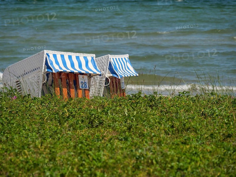 Two striped beach chairs on the beach, surrounded by grass, with the sea in the background, Flensburg, SChleswig-Holstein, Germany, Europe