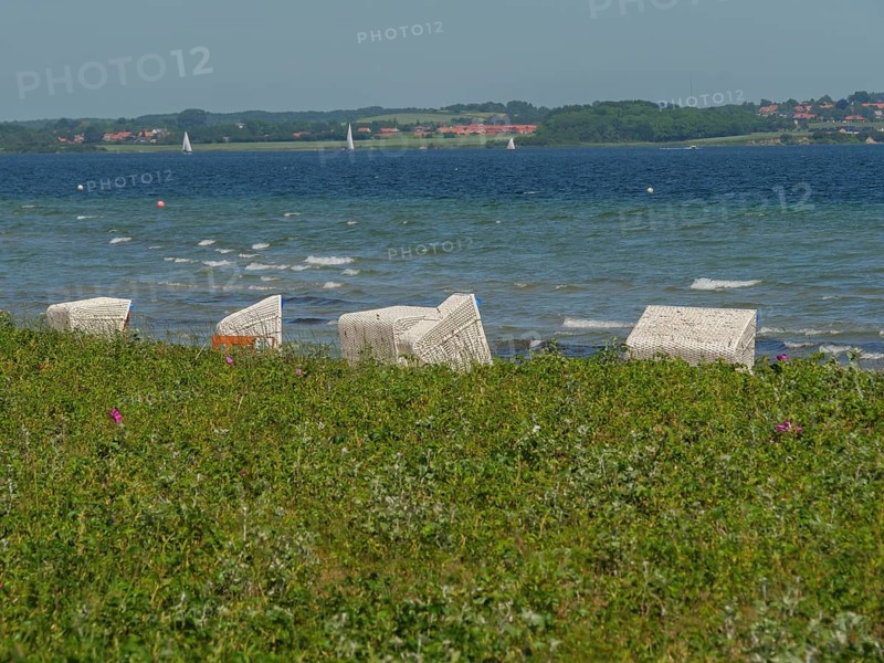 White beach chairs on the beach against the backdrop of waves and a green meadow, Flensburg, Schleswig-Holstein, Germany, Europe
