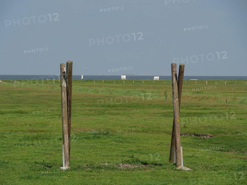 Wooden posts standing on a wide meadow with a view of the sea on the horizon, Hallig Hooge, Schleswig-Holstein, Germany, Europe