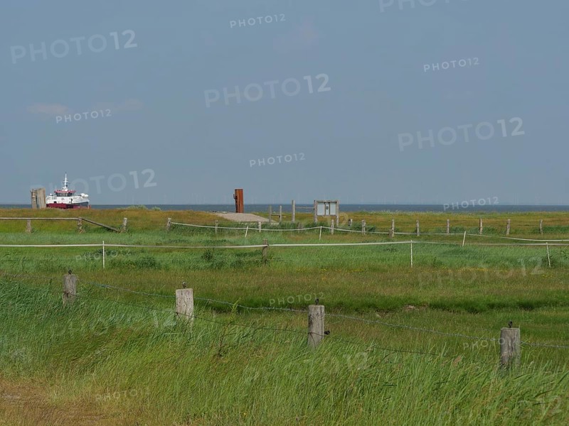Green scenic meadow with a ship in the background and clear sky, Hallig Hooge, schleswig-holstein, germany