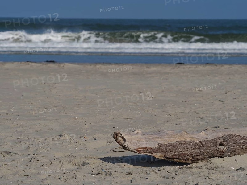 A piece of driftwood lies on sand while waves crash against the beach in the background, juist, east frisia, germany