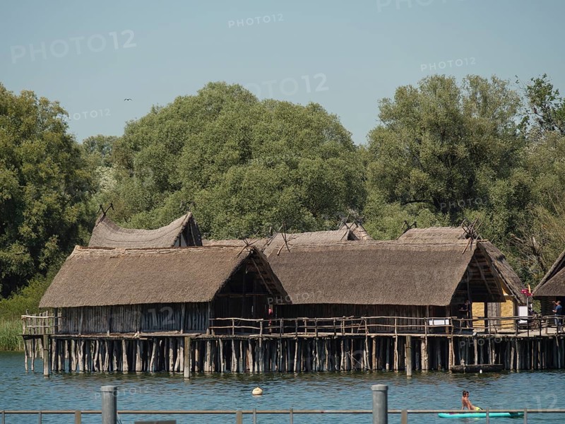 Traditional pile dwellings on the lakeshore surrounded by trees on a calm summer day, Meersburg, Lake Constance, Germany, Europe