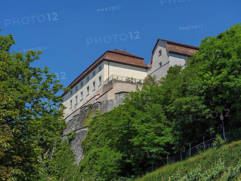 Large castle on a hill surrounded by dense green trees and sunny skies, Meersburg, Lake Constance, Germany, Europe