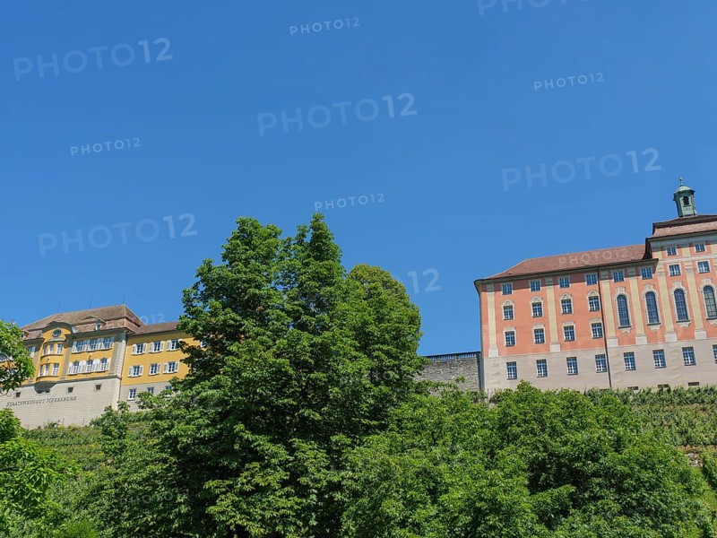 Castle buildings towering over green trees under a clear blue sky, Meersburg, Germany, Europe