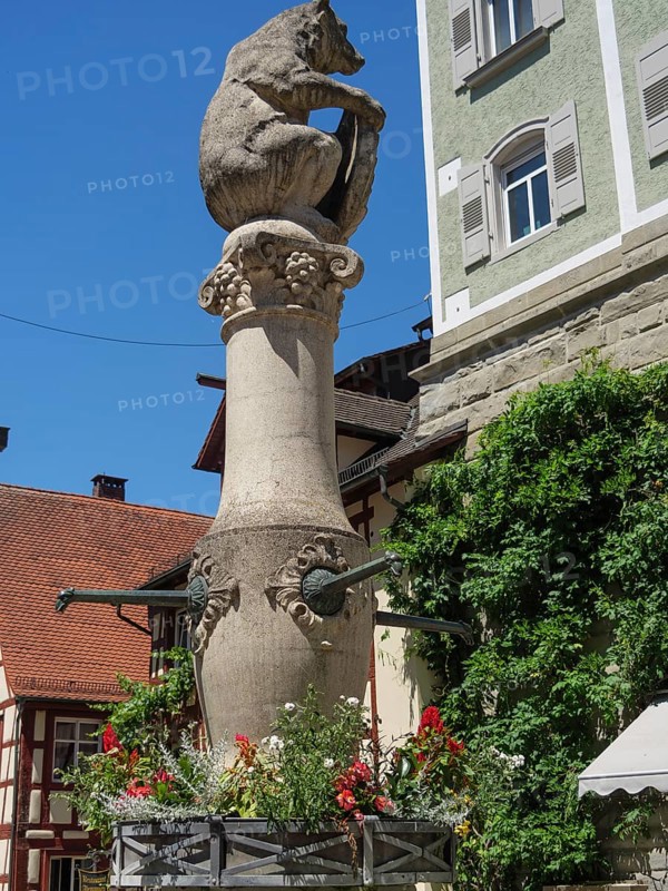 Stone fountain with a lion sculpture and flowers in front of a historic building, Meersburg, Lake Constance, Germany, Europe