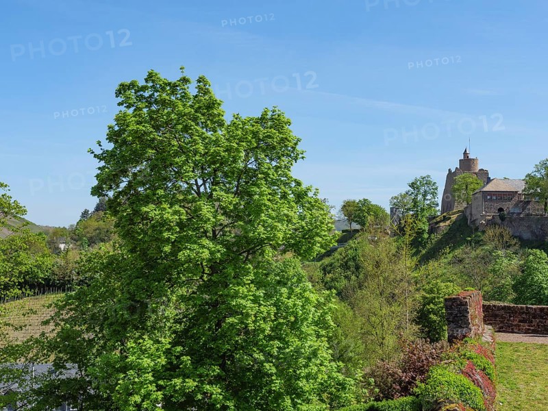 Panorama of a green landscape with a castle, historic buildings and lush trees under a clear sky, Saarburg, Germany, Europe
