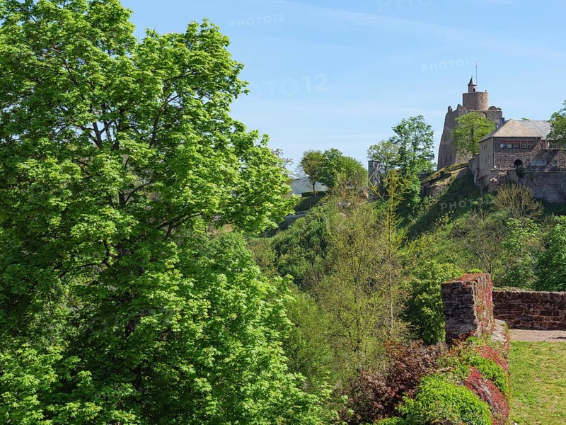 A castle and ruins hidden between green trees, embedded in nature under a clear sky, Saarburg, Germany, Europe