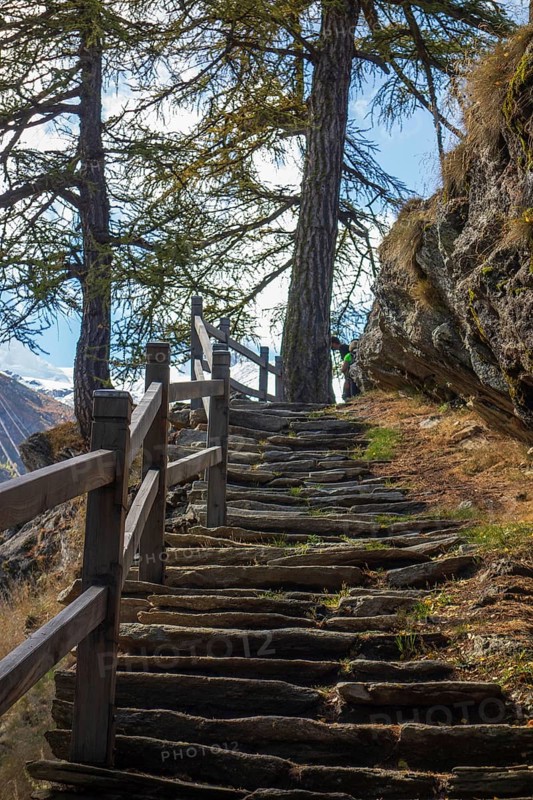 A wooden staircase leads uphill through a forest, surrounded by trees and mountains in the background, Saas Fee, Switzerland, Europe