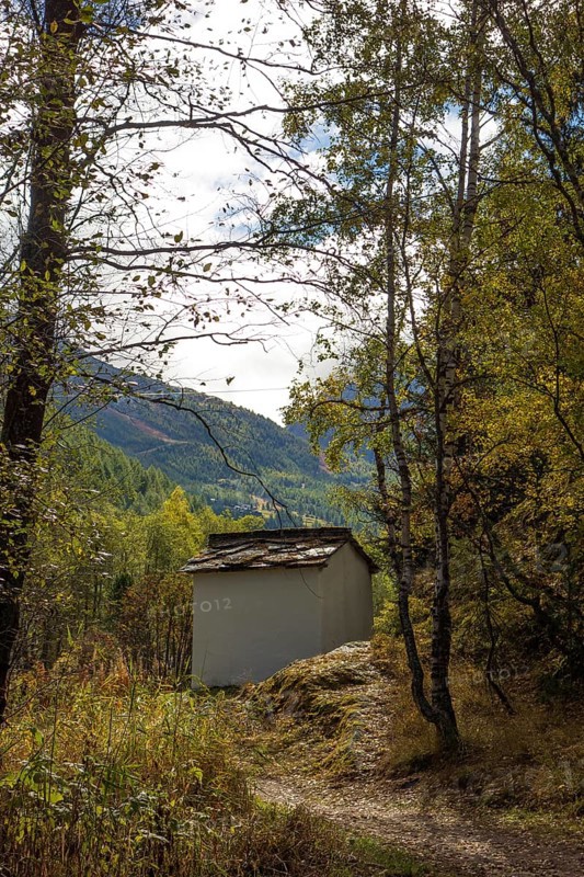 A small hut stands in the forest, surrounded by autumnal trees and a narrow path, Saas Fee, Switzerland, Europe