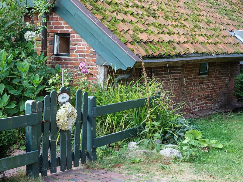 A small brick house with a moss-covered roof and a garden fence, Spiekeroog, East Frisia, GERMANY