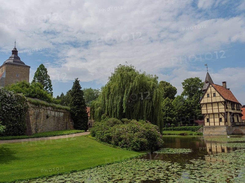A half-timbered house and a tower by a river with water lilies, surrounded by trees and meadows, under a cloudy sky, Steinfurt, North Rhine-Westphalia, Germany, Europe