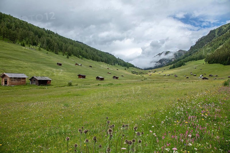 Pfundser Schey, Pfunds, Tyrolean Oberland, Austria, Europe