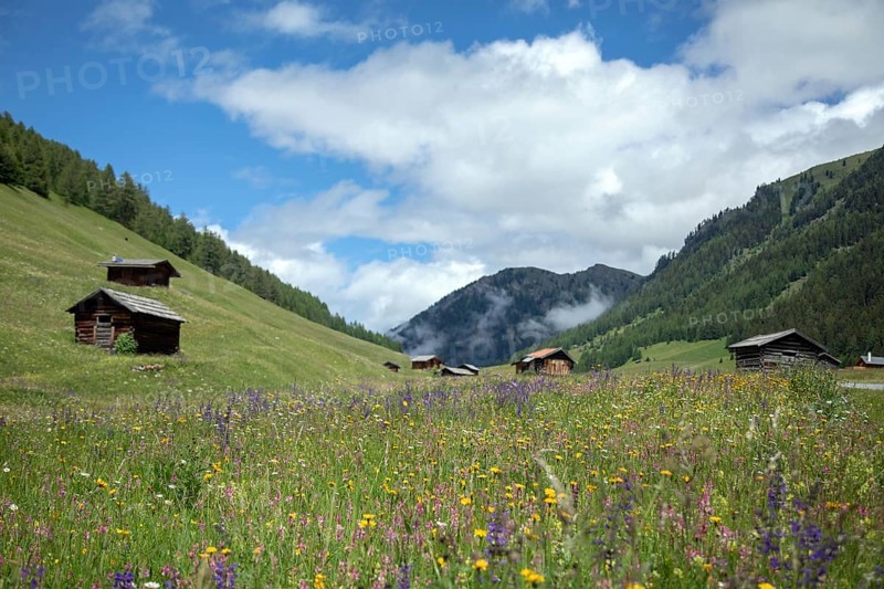 Pfundser Schey, Pfunds, Tyrolean Oberland, Austria, Europe