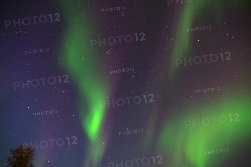 View of green and purple northern lights in the starry night sky, Langöya, Vesteralen, Nordland, Norway, Europe