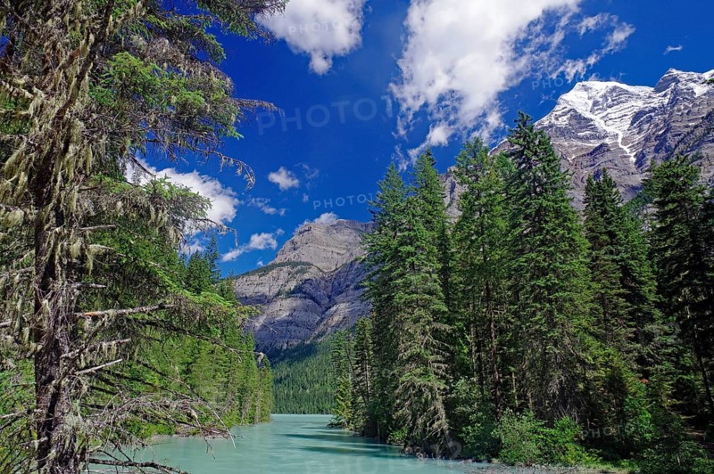 Picturesque mountain landscape with emerald green river, surrounded by tall, dense trees and clear blue sky, Mount Robson Provincial Park, Rocky Mountains, Canada, North America