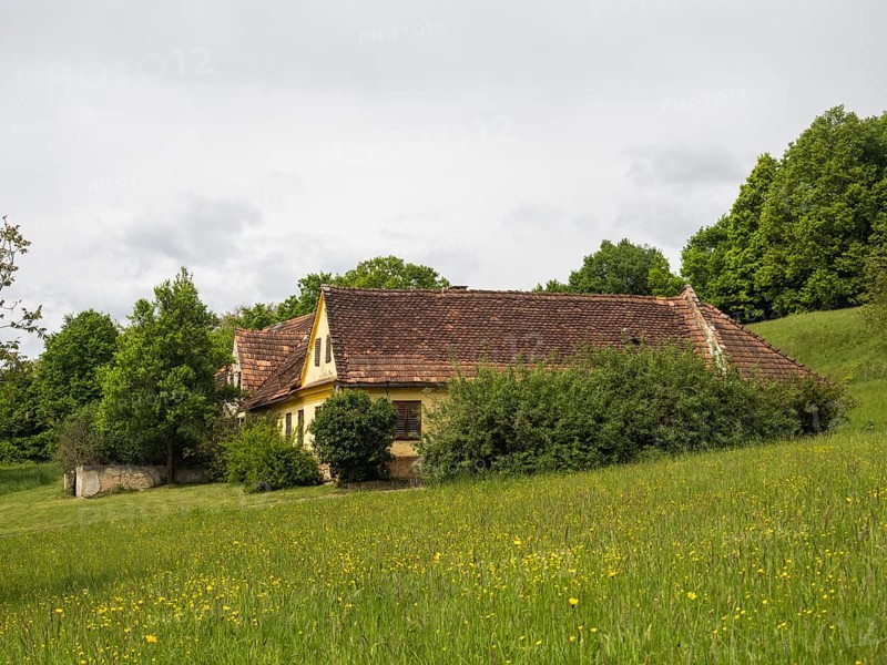 Farmstead in a flower meadow, near Riegersburg, Styria, Austria, Europe