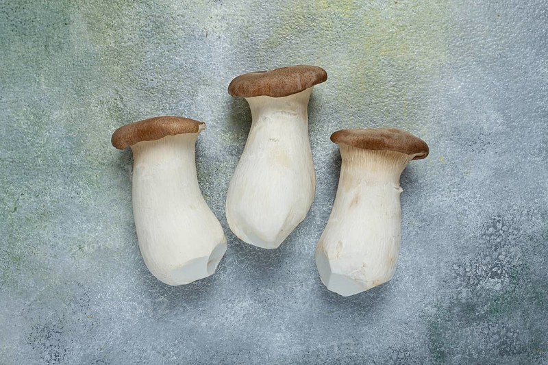 Fresh eringi mushrooms, raw, royal oyster mushrooms, three pieces, Asian cuisine, no people